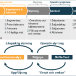 Process faktabaserat säljarbete 2