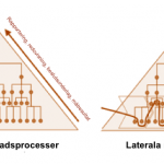 Vertikala&Laterala processer