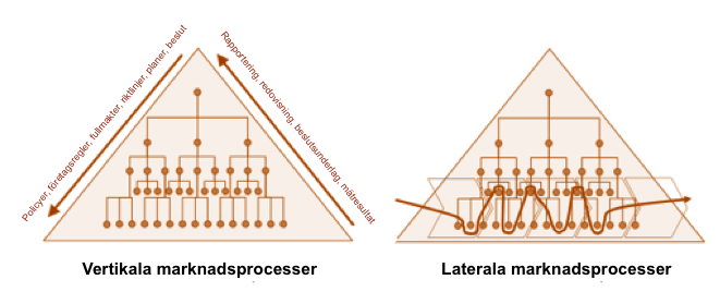 Vertikala&Laterala processer