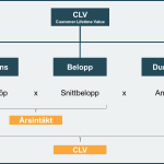 kundanalys och CLV