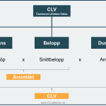 kundanalys och CLV