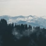 clouds-fog-forest-9754