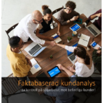 wp faktabaserad kundanalys