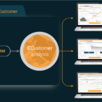 CCustomer Analysis 1