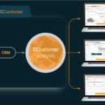 CCustomer Analysis